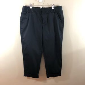 Eddie Bauer Black Capri Pants-Mercer Fit Size 14